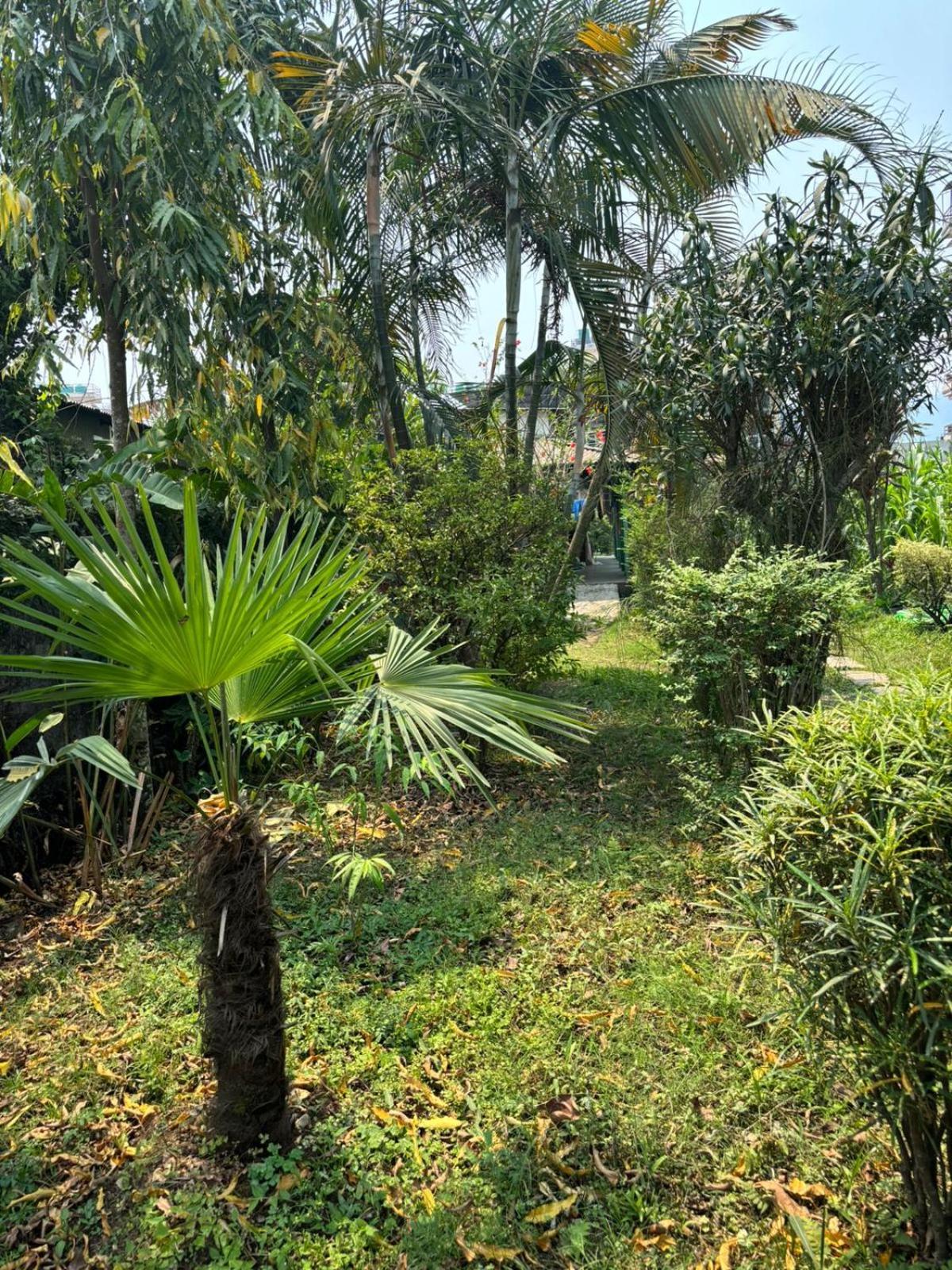 Cherry Garden Pokhara Bagian luar foto