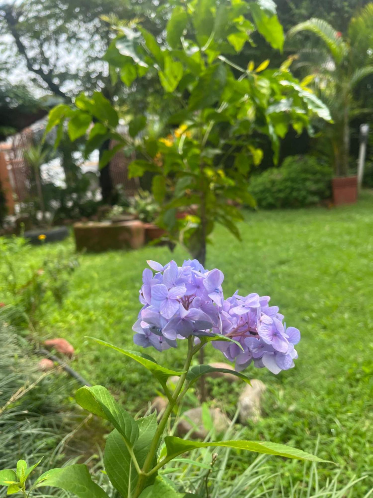 Cherry Garden Pokhara Bagian luar foto
